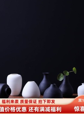新品玻璃罩简约白色拉丝陶瓷小花插陶瓷工艺品摆件家居素烧陶瓷