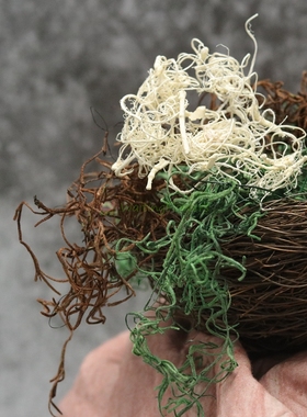 永生花进口空气凤梨青苔丝苔藓61061系列小份diy微景观造型铺底