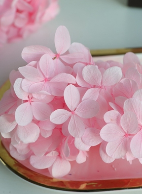 等花来永生花亚特兰蒂斯梦幻木绣球diy材料包永生高级感真花绣球