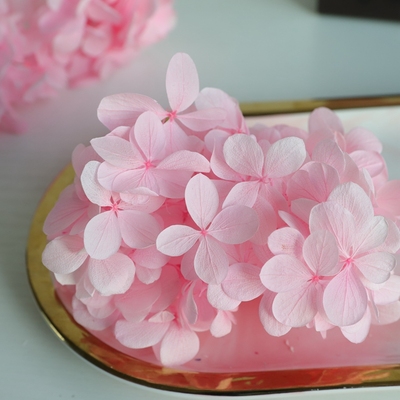 等花来永生花亚特兰蒂斯梦幻木绣球diy材料包永生高级感真花绣球