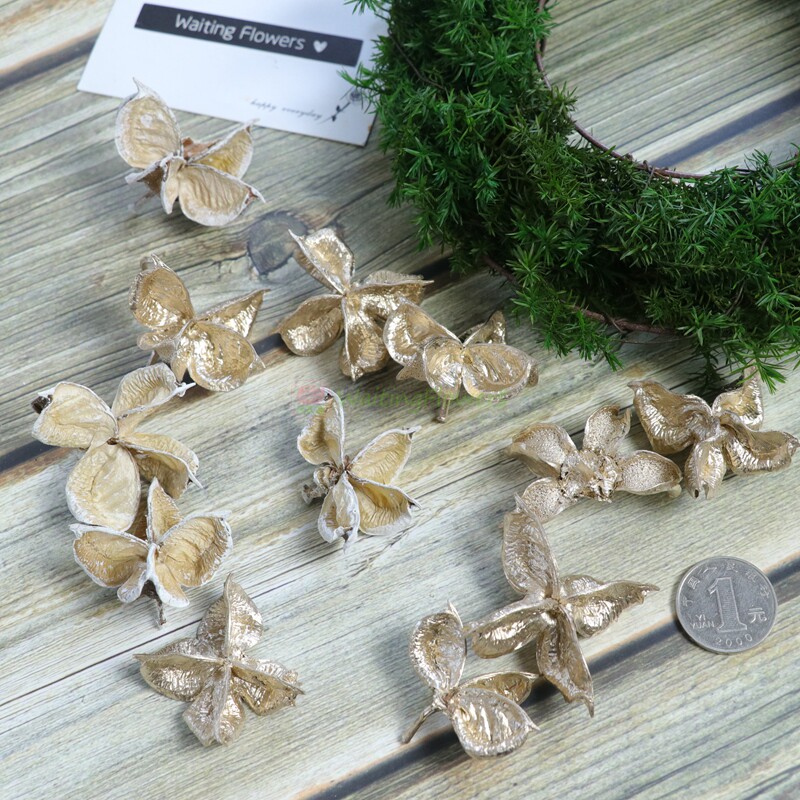 棉花壳永生花进口干果干花24400圣诞情人节永生花 花环原材料
