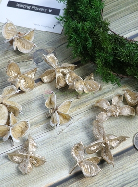 棉花壳永生花进口干果干花24400圣诞情人节永生花 花环原材料