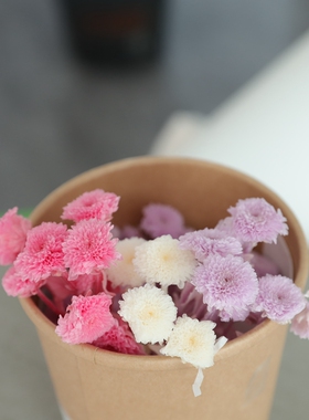 等花来大地农园02690系列微型带杆小乒乓菊diy材料包永生花小菊