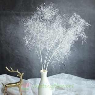 等花来国产迷雾草黄栌雾中情人天然植物diy花束民宿装饰永生花材