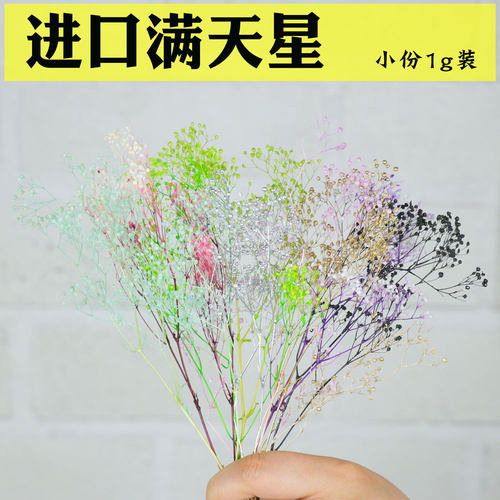 满天星霞草大地农园永生花