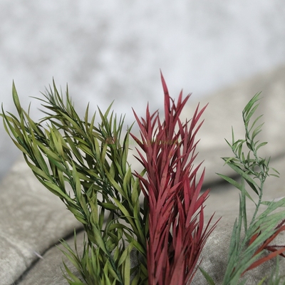 大地农园保鲜花永生花寸寸金