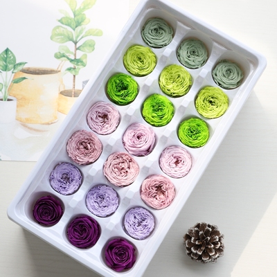 等花来国产b2-3cm奥斯汀玫瑰花材