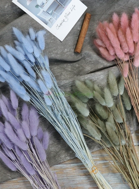 大地农园42050插瓶花礼盒装饰toka进口大地永生花兔尾草狗尾草