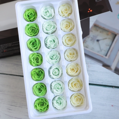 等花来永生花2-3玫瑰拼色渐变