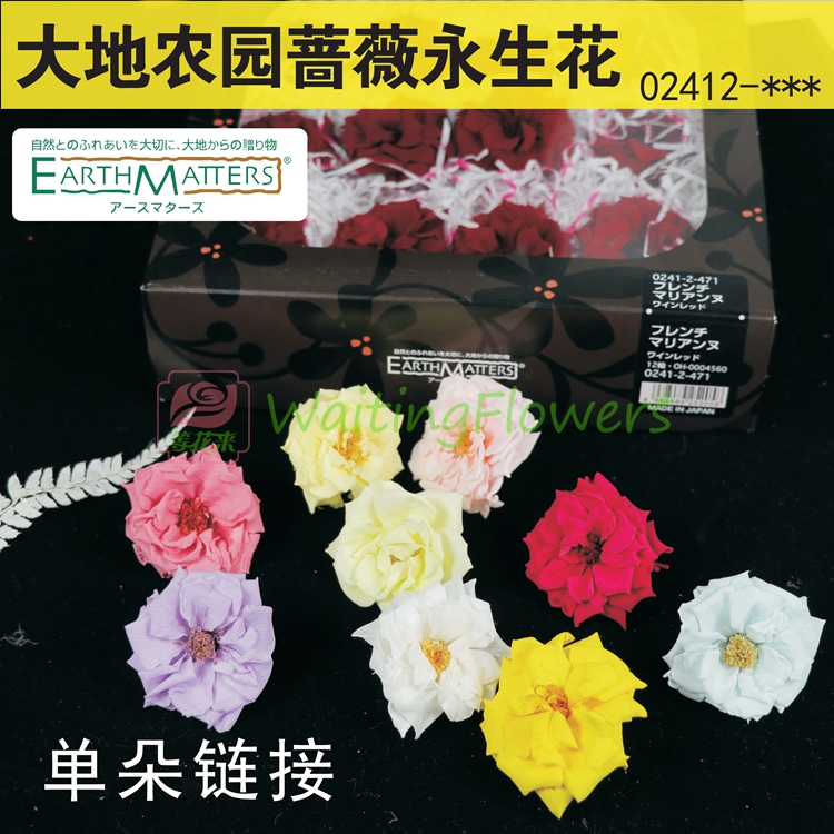 玛丽安玫瑰蔷薇永生花大地农园02412diy原材料包3.5-5c