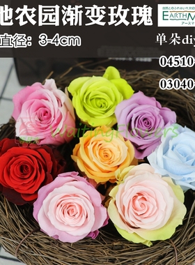 等花来大地农园双色渐变玫瑰03040/04510/03060diy材料玫瑰永生花