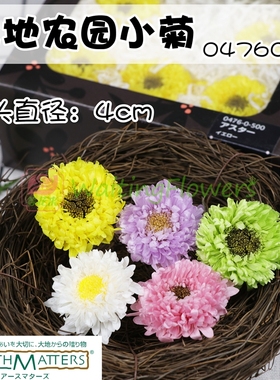 大地农园进口大地永生花翠菊波斯菊小菊04760保鲜花diy玻璃罩礼盒