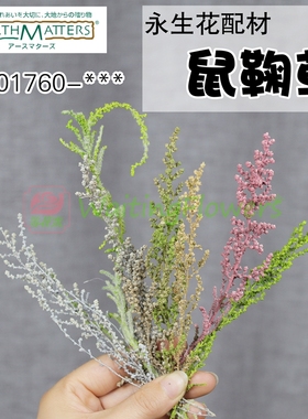 等花来01760大地农园保鲜花DIY材料包新娘头饰品鼠鞠草永生花地肤
