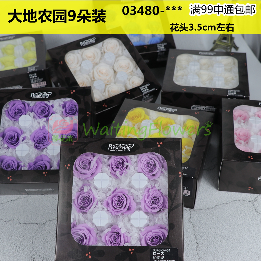 玫瑰永生花03480系列进口大地农园3.5-4cm9朵装保鲜花diy材料 鲜花速递/花卉仿真/绿植园艺 永生花 原图主图