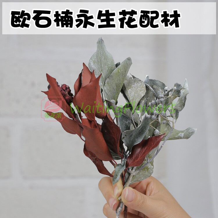 大地农园进口新娘头饰永生花