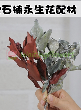 大地农园02282白色叶子新娘头饰叶带果实永生花欧石楠绿叶02300