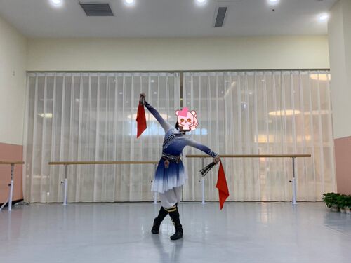民族舞蹈服  量身定制  2022年新款
