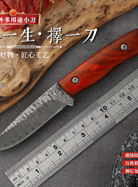 户外刀具迷你小刀手把肉刀吃肉刀不锈钢水果刀应急防身刀随身刀具