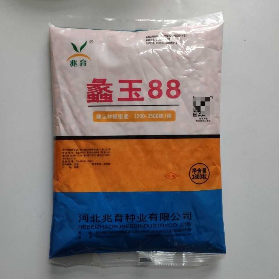 蠡玉88  大棒 高产稳产 抗倒伏  抗高温  抗旱耐涝 适应性强广适