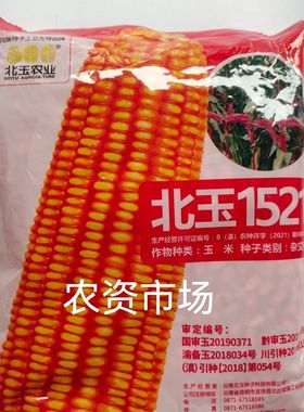 北玉1521高产杂交玉米种子, 国审抗倒抗病能力强棒大穗轴白色1kg
