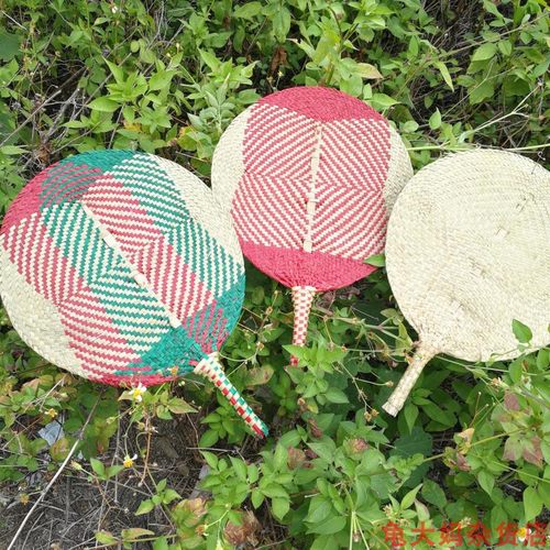 扇子复杂的广东彩色花草2把包邮