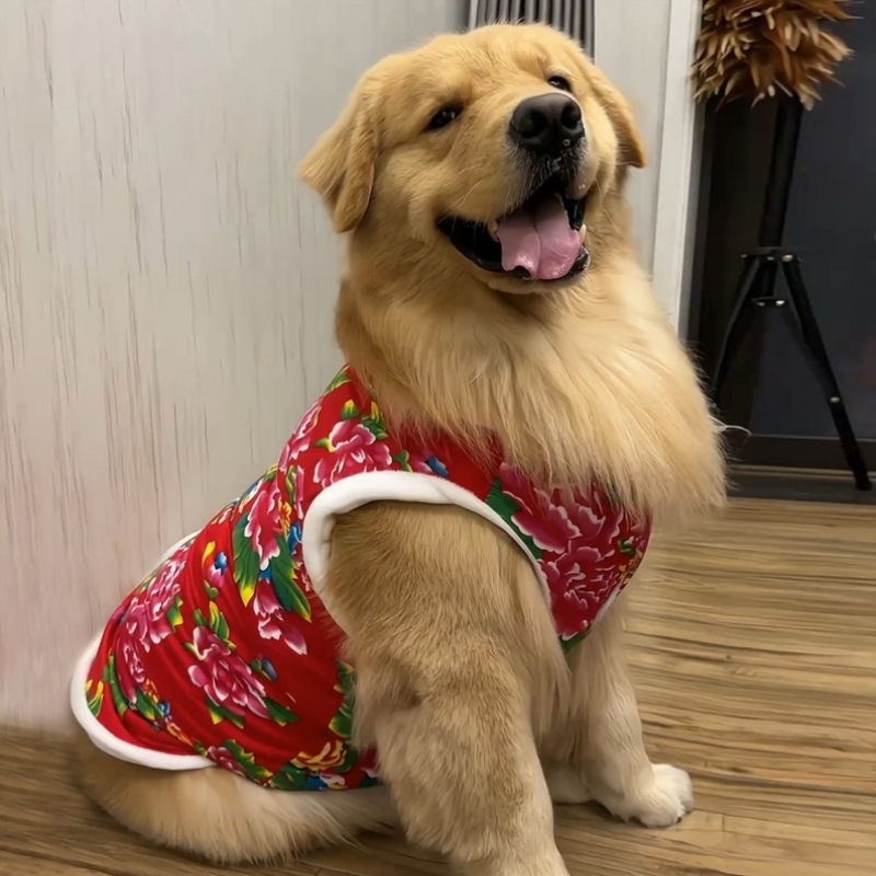 大型犬衣服冬季保暖加厚防掉毛红色宠物大狗棉衣阿拉斯加萨摩耶