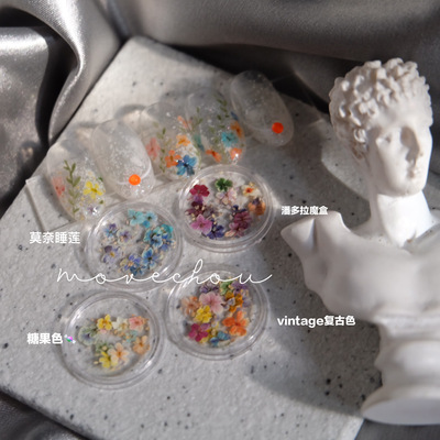 日系BLC同款美甲干花混色小水仙24朵瓶装天然押花指甲装饰彩色花