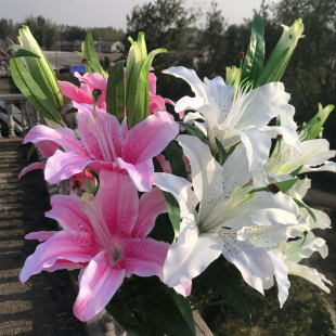 假花百合仿真花束单支客厅电视柜餐桌装 饰品摆设花艺摆件花瓶插花