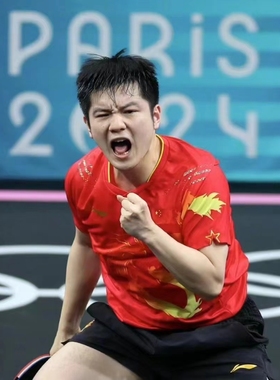 正品蝴蝶球拍樊振东ALC超级樊SALCZLC纤维CNF外置乒乓球底板樊A