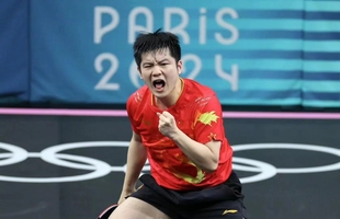 正品 蝴蝶球拍樊振东ALC超级樊SALCZLC纤维CNF外置乒乓球底板樊A