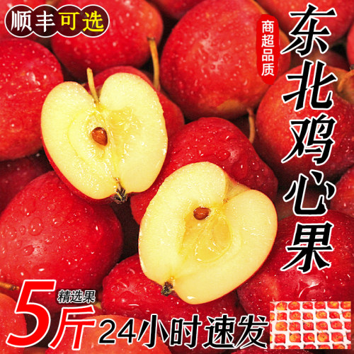 正宗东北鸡心果顺丰2026720