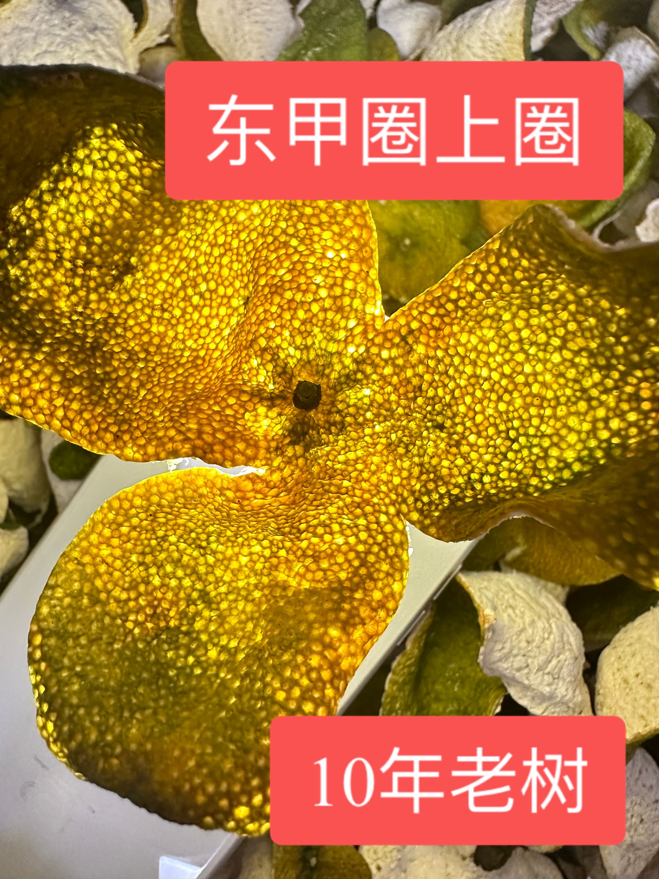 东甲圈枝胜哥农场的9年树1斤桶装