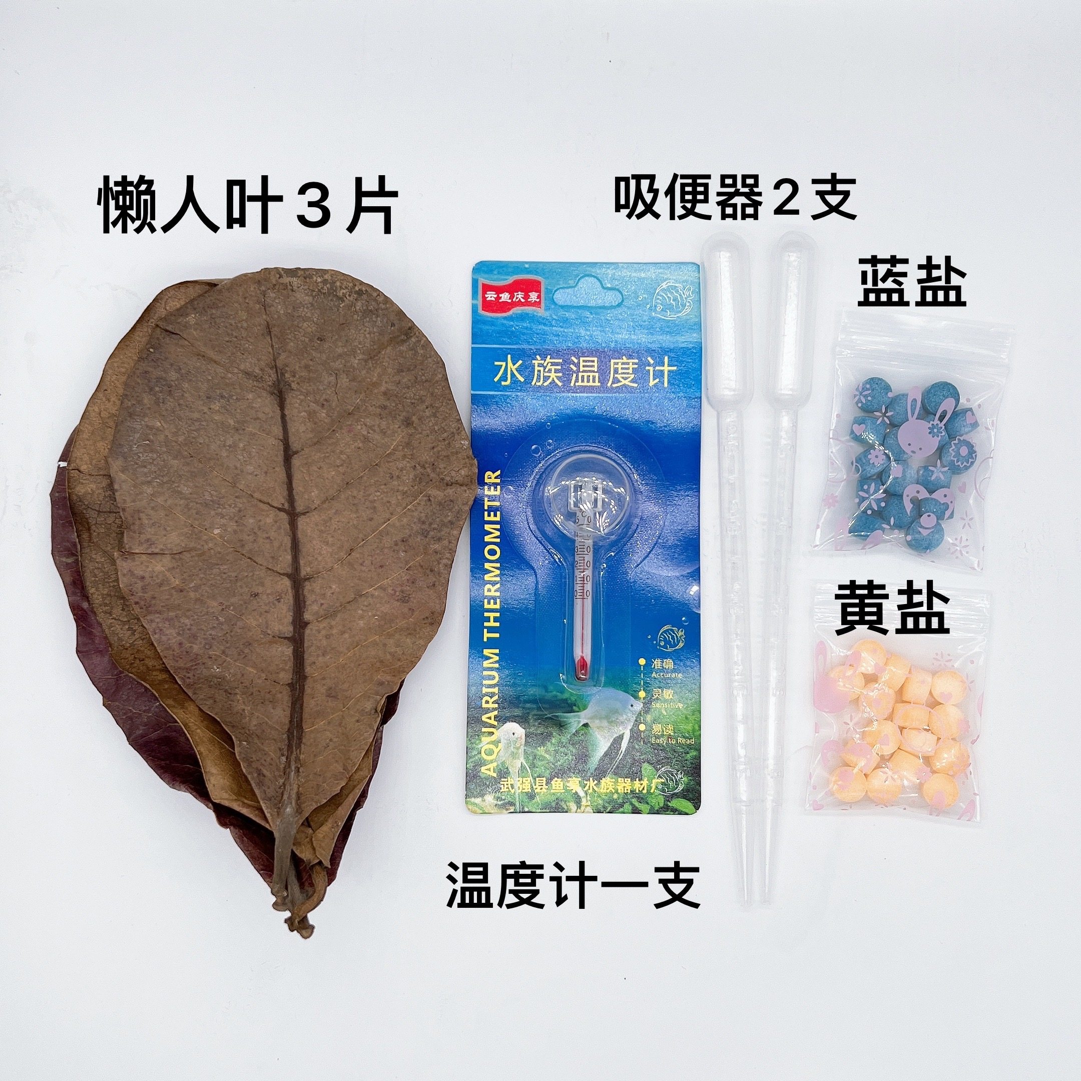 泰国斗鱼孔雀鱼小型热带鱼新手套装饲料懒人叶蓝粉盐黄粉盐实用,宠物/宠物食品及用品,生态瓶/创意缸/微景缸,淘宝优惠券,粉丝福利购,淘宝优惠卷