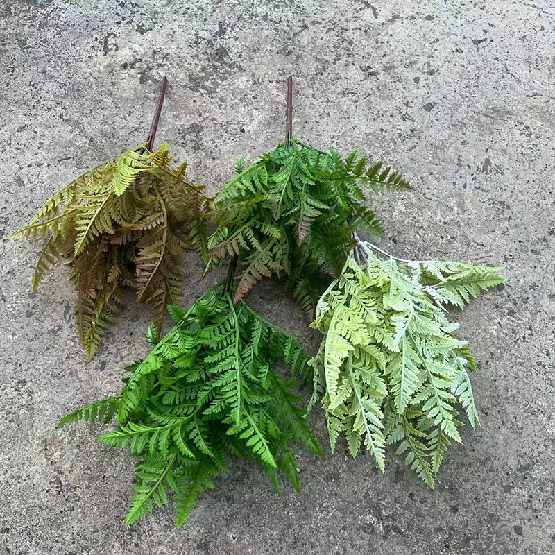 高仿真绿色植物蕨类肾蕨大叶草热带雨林软胶绿植墙面绿化景观造景