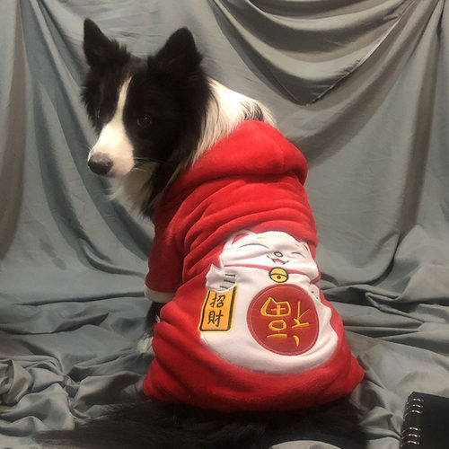 招财四脚衣 秋冬宠物边牧中大型犬拉布拉多马年新年保暖全包衣服