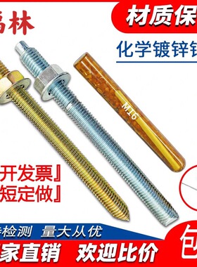高强度国标化学螺栓膨胀螺丝镀锌锚栓M8M10M12M14M16M18M20M24M30
