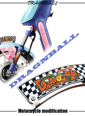 适用于爱玛露娜C20 仰望 新日miku1电动车改装个性挡泥板装饰板