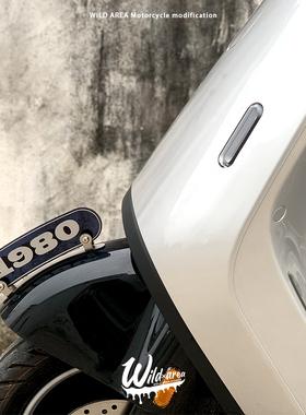 适用于九号Q5 小牛U3pro Umax U2电动车定制改装复古挡泥板装饰牌