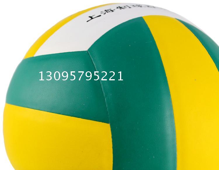 Ballon de volley - Ref 2011358 Image 5