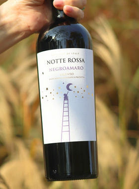 新手闭眼入低酸饱满柔和意大利黑曼罗干红葡萄酒原瓶进口红酒整箱