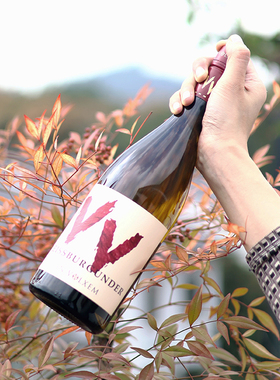 香料盛宴 小众精品莫泽尔白皮诺德国Van Volxem梵沃森干白葡萄酒