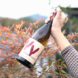 香料盛宴 Volxem梵沃森干白葡萄酒 小众精品莫泽尔白皮诺德国Van