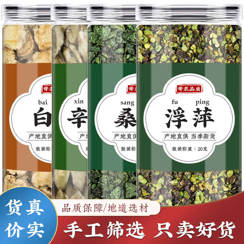 白芷辛夷花桑叶浮萍中药材组合新鲜茶包霜后桑树叶白止泡水煮水喝