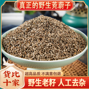 野生茺蔚子中药材500g250g益母草种子茺蔚籽茺子粉茺玉子正品新货