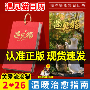 官方正版 冰箱贴一个猫咪宠物创意ins风台历桌面摆件小礼物猫咪摄影集书 遇见猫2026年猫日历爱猫无忧喵呜不停温暖治愈指南赠随机款