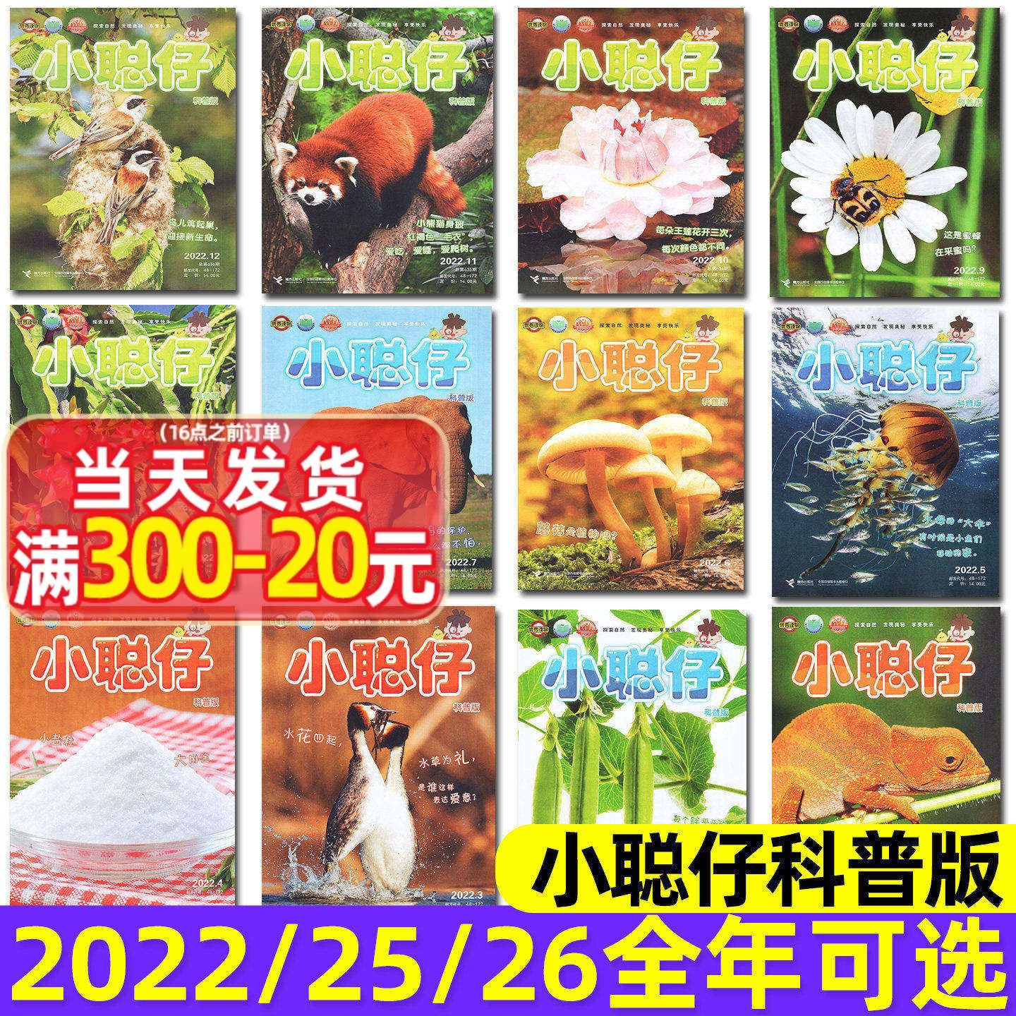 【多年份可选】小聪仔（科普版）杂志2022/2025/2026年1-10/11/12月全年订阅2~8岁兴趣儿童科普百科动物过刊