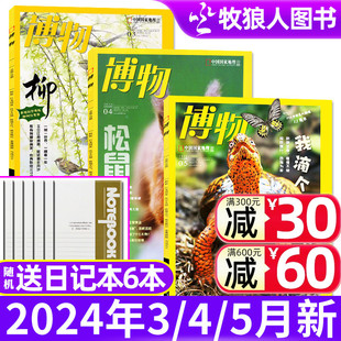 增刊科普百科书中小学生少年版 5月 博物杂志2024年1 送6个日记本 万物好奇号环球少年地理博物君式 全年订阅过刊