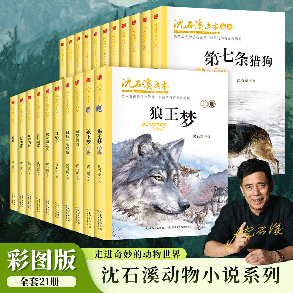 正版沈石溪画本动物故事全套书籍图片