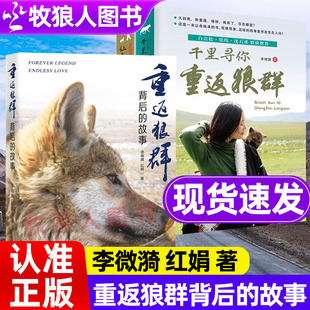 重返狼群背后的故事李微漪红娟著一部人狼情未了让我陪你重返狼群千里寻你重返狼群全套正版重返狼群背后的感人故事纪实报告文学
