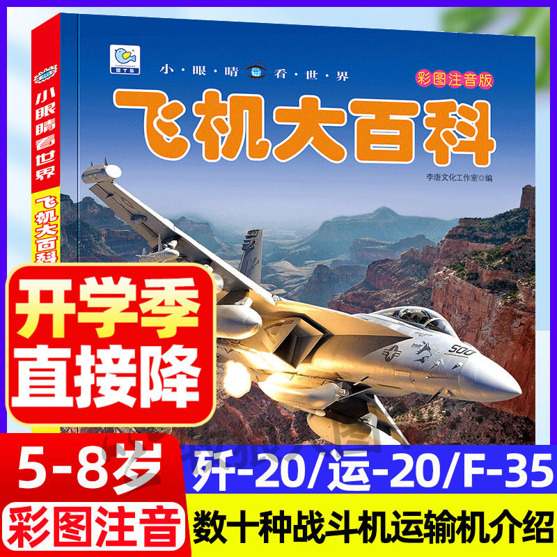 飞机大百科注音版小眼睛看世界儿童军事歼-20/运20/F35战斗机书籍关于无人机大型运输机绘本5-8岁小学生一二三年级课外阅读科普图片